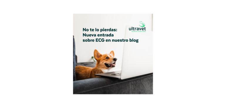 La Importancia del Electrocardiograma (ECG) en los Exámenes Preoperatorios