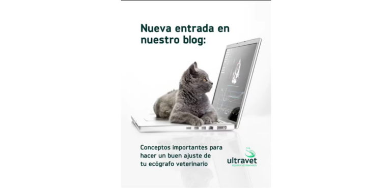 Conceptos importantes para hacer un buen ajuste de tu ecógrafo veterinario 