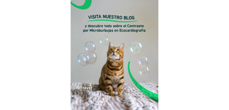 El contraste por microburbujas y su papel en el Diagnóstico de Patologías Congénitas por Ecocardiografía en Veterinaria