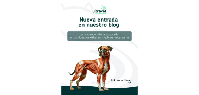La revolución de la ecografía musculoesquelética en medicina veterinaria