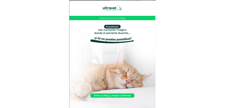 Bombas de infusión veterinarias: cómo la tecnología está revolucionando la medicina veterinaria moderna 