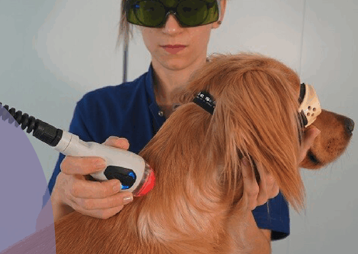 Cuando la luz se convierte en medicina 