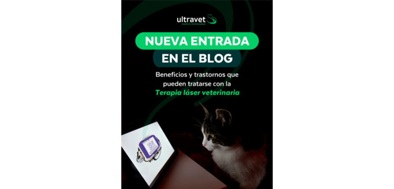 Cómo la terapia láser veterinaria impulsa la regeneración, alivia el dolor y transforma la práctica clínica