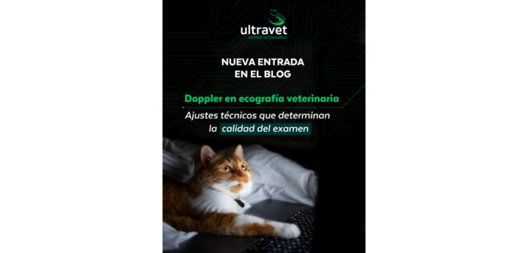 Doppler en ecografía veterinaria: 5 ajustes técnicos que determinan la calidad del examen