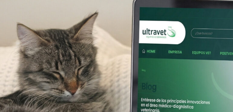 Endoscopía veterinaria: importancia y versatilidad en la práctica clínica